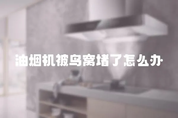 油煙機被鳥窩堵了怎么辦