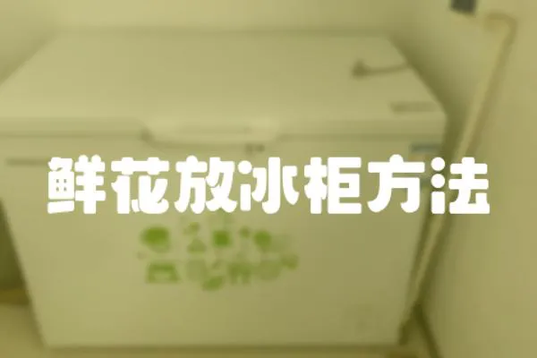 鮮花放冰柜方法