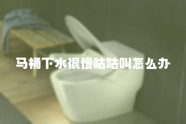 馬桶下水很慢咕咕叫怎么辦