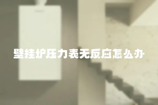 壁掛爐壓力表無反應怎么辦