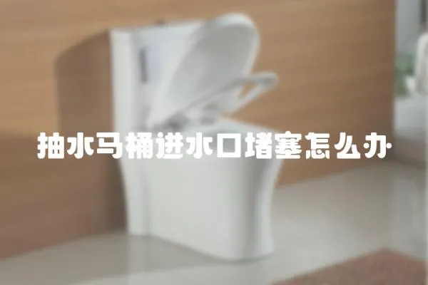 抽水馬桶進水口堵塞怎么辦