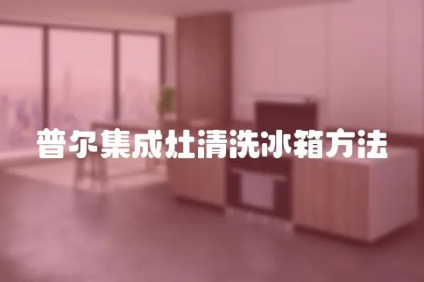 普爾集成灶清洗冰箱方法