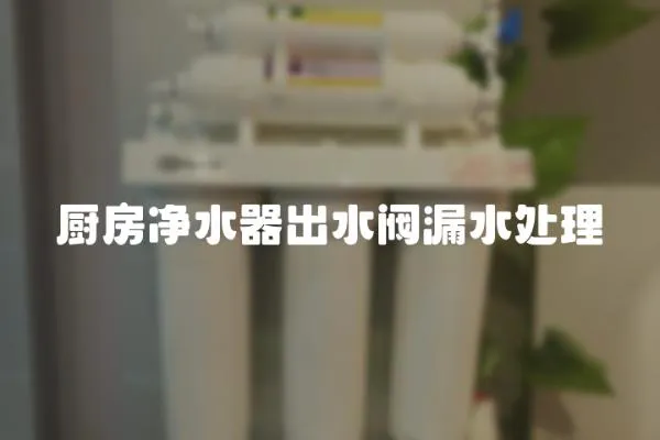 廚房凈水器出水閥漏水處理
