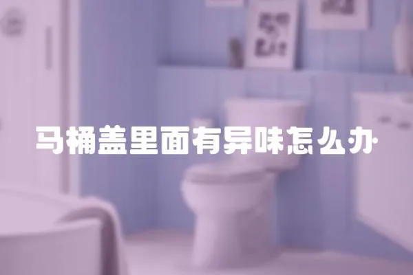 馬桶蓋里面有異味怎么辦