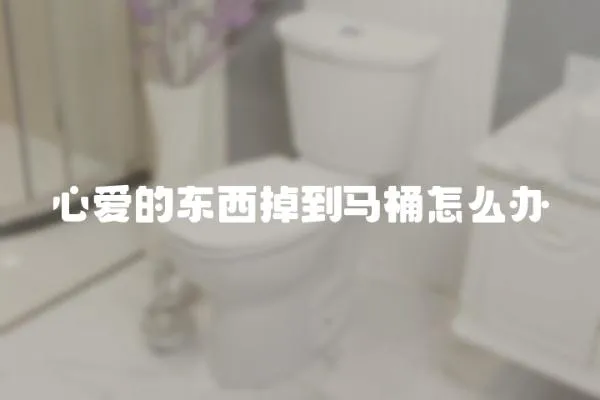 心愛的東西掉到馬桶怎么辦