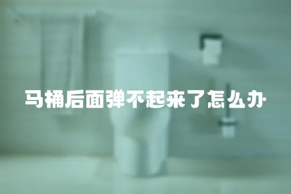 馬桶后面彈不起來了怎么辦