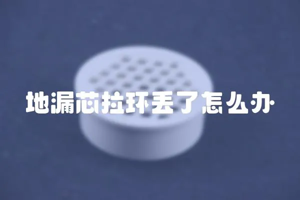 地漏芯拉環(huán)丟了怎么辦