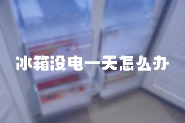 冰箱沒電一天怎么辦
