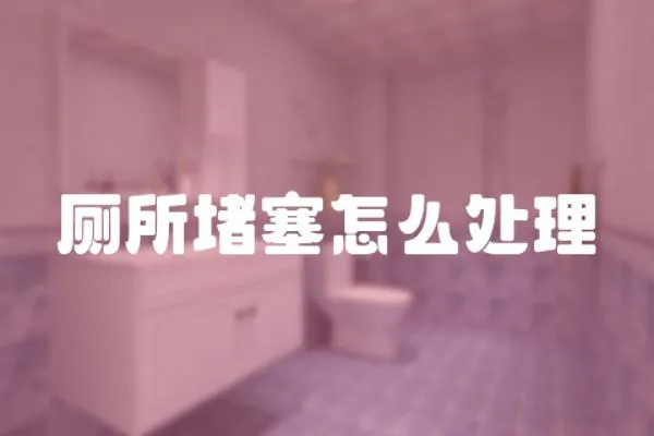 廁所堵塞怎么處理