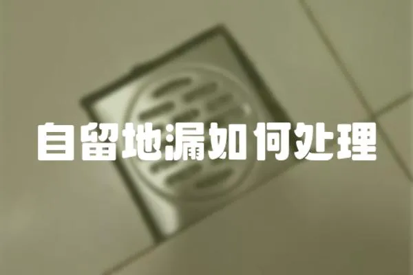 自留地漏如何處理
