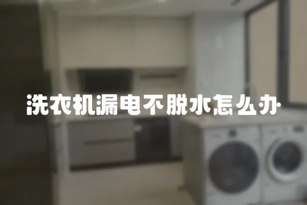 洗衣機漏電不脫水怎么辦