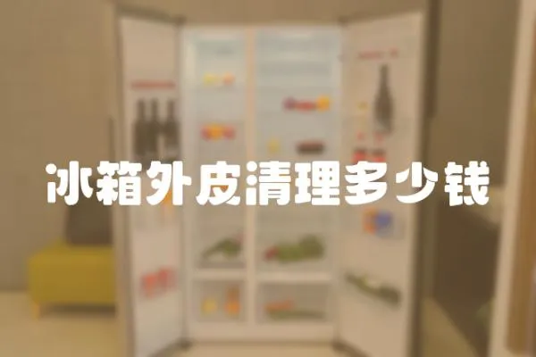 冰箱外皮清理多少錢