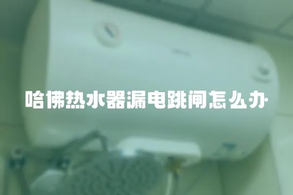 哈佛熱水器漏電跳閘怎么辦