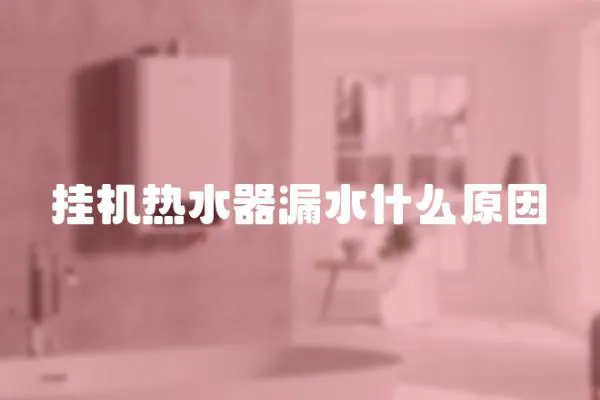 掛機熱水器漏水什么原因