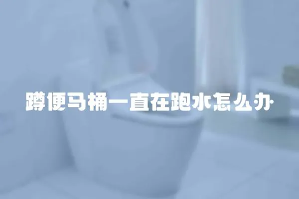 蹲便馬桶一直在跑水怎么辦