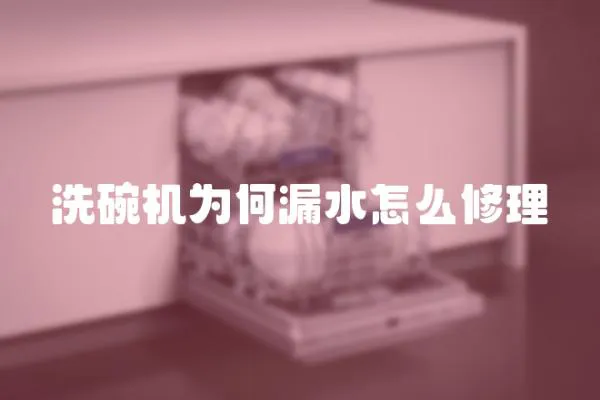 洗碗機為何漏水怎么修理