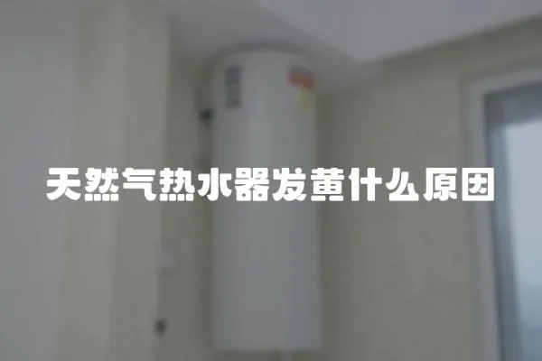 天然气热水器发黄什么原因