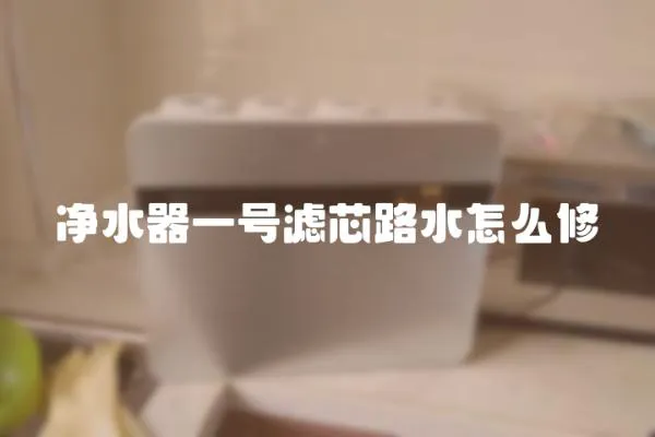 凈水器一號濾芯路水怎么修