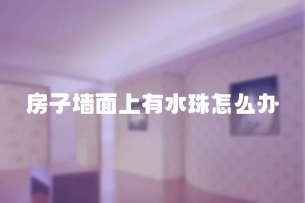 房子墻面上有水珠怎么辦