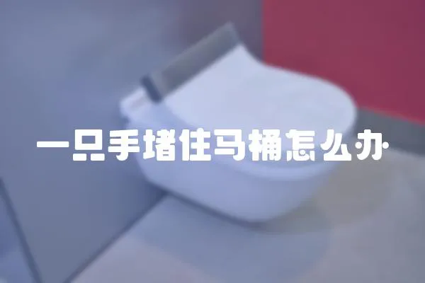 一只手堵住馬桶怎么辦