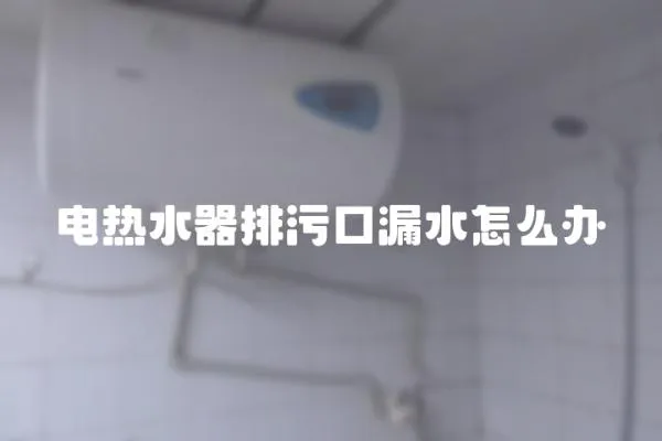 電熱水器排污口漏水怎么辦