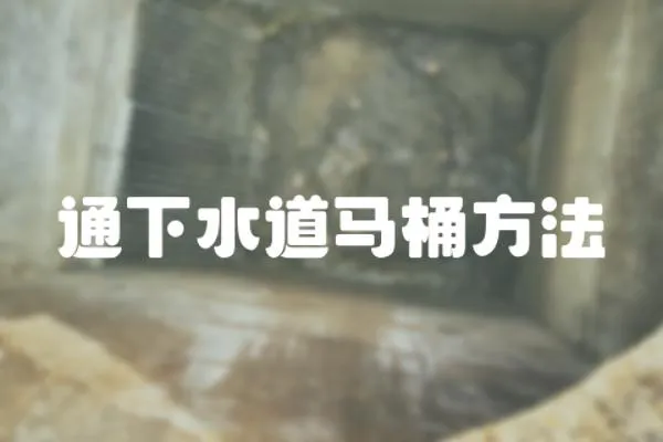 通下水道馬桶方法