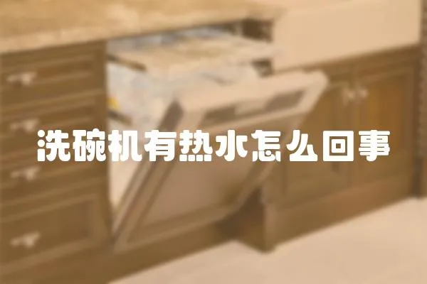 洗碗機有熱水怎么回事