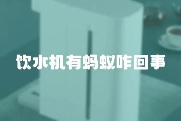 飲水機(jī)有螞蟻咋回事