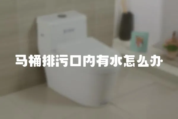 馬桶排污口內有水怎么辦