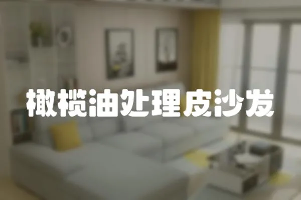 橄欖油處理皮沙發