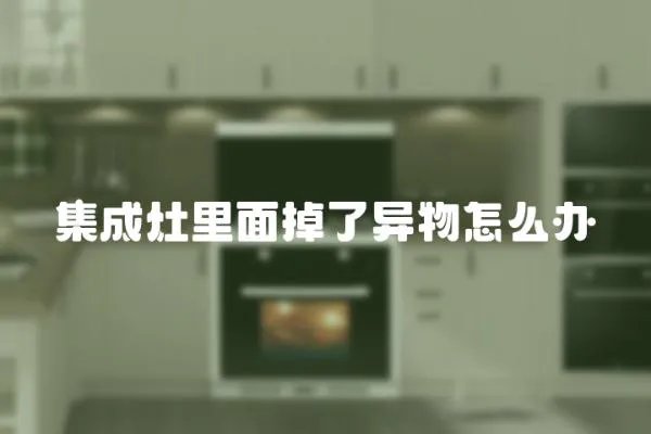 集成灶里面掉了異物怎么辦