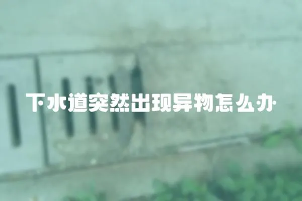 下水道突然出現異物怎么辦