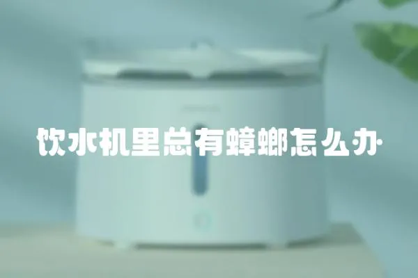 飲水機里總有蟑螂怎么辦