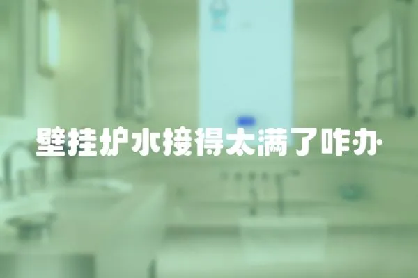 壁掛爐水接得太滿了咋辦