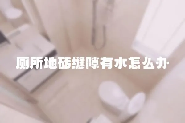 廁所地磚縫隙有水怎么辦