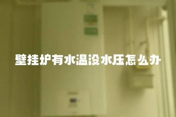 壁掛爐有水溫沒水壓怎么辦