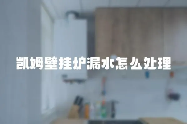 凱姆壁掛爐漏水怎么處理