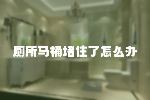 廁所馬桶堵住了怎么辦