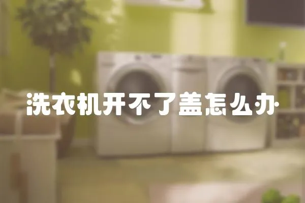 洗衣機(jī)開(kāi)不了蓋怎么辦