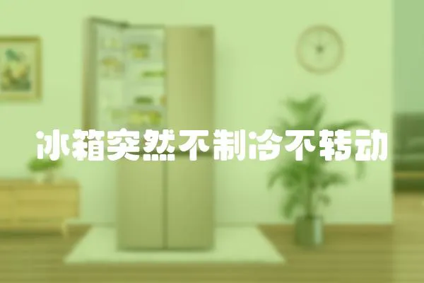 冰箱突然不制冷不轉動