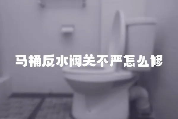 馬桶反水閥關不嚴怎么修