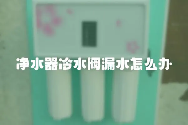 凈水器冷水閥漏水怎么辦