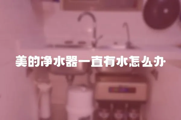 美的凈水器一直有水怎么辦