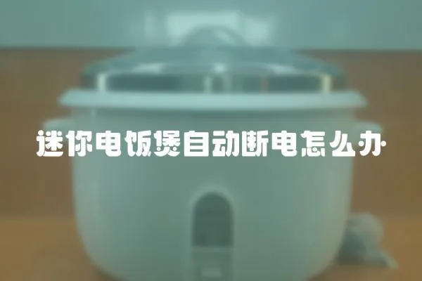 迷你電飯煲自動斷電怎么辦