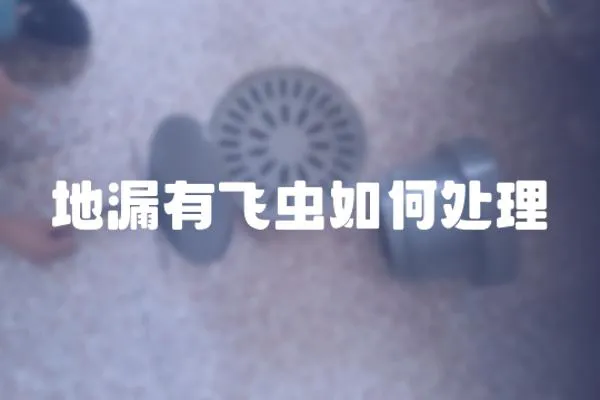 地漏有飛蟲如何處理