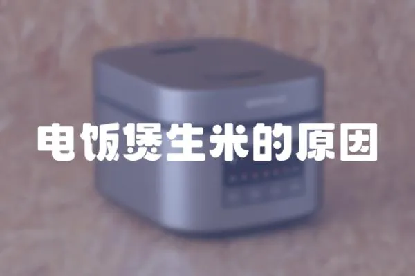 電飯煲生米的原因