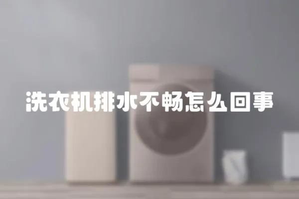 洗衣机排水不畅怎么回事