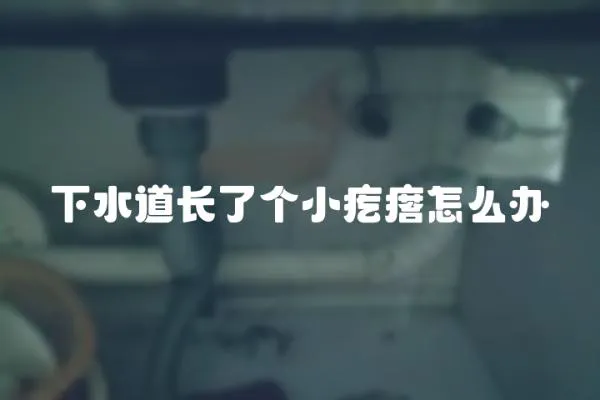 下水道長(zhǎng)了個(gè)小疙瘩怎么辦