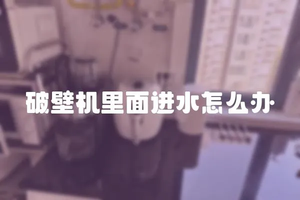 破壁機(jī)里面進(jìn)水怎么辦