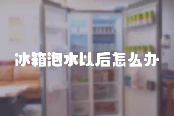 冰箱泡水以后怎么辦